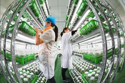 漫談｜各司其職完善產業鏈，讓農民種上放心田——水產養殖篇