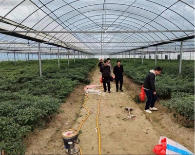 伍市鎮(zhèn) 多措并舉，織密織牢疫情防控期間水產養(yǎng)殖質量安全網