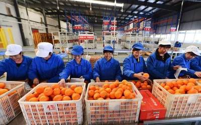 水產養(yǎng)殖賦能鄉(xiāng)村振興，湖北四企入選全國典型案例