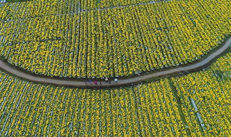 贛州農業產業扶貧 水產養殖奏響攻堅曲，扶出好“錢”景