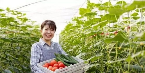 三產(chǎn)融合，共贏未來(lái) 如何將休閑農(nóng)業(yè)、鄉(xiāng)村旅游與有機(jī)農(nóng)產(chǎn)品種植打造成最佳營(yíng)銷組合