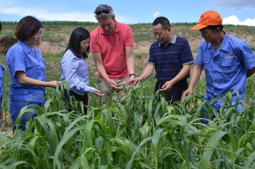 天鎮(zhèn)“新漁歌” 特色水產(chǎn)養(yǎng)殖開(kāi)辟優(yōu)質(zhì)農(nóng)產(chǎn)品出海新航道